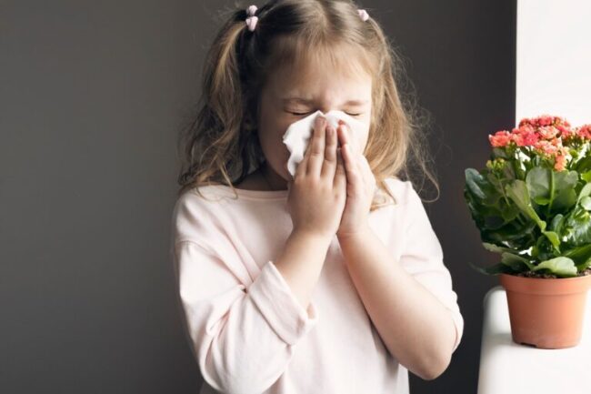 anoiksi kai allergies άνοιξη και αλλεργίες